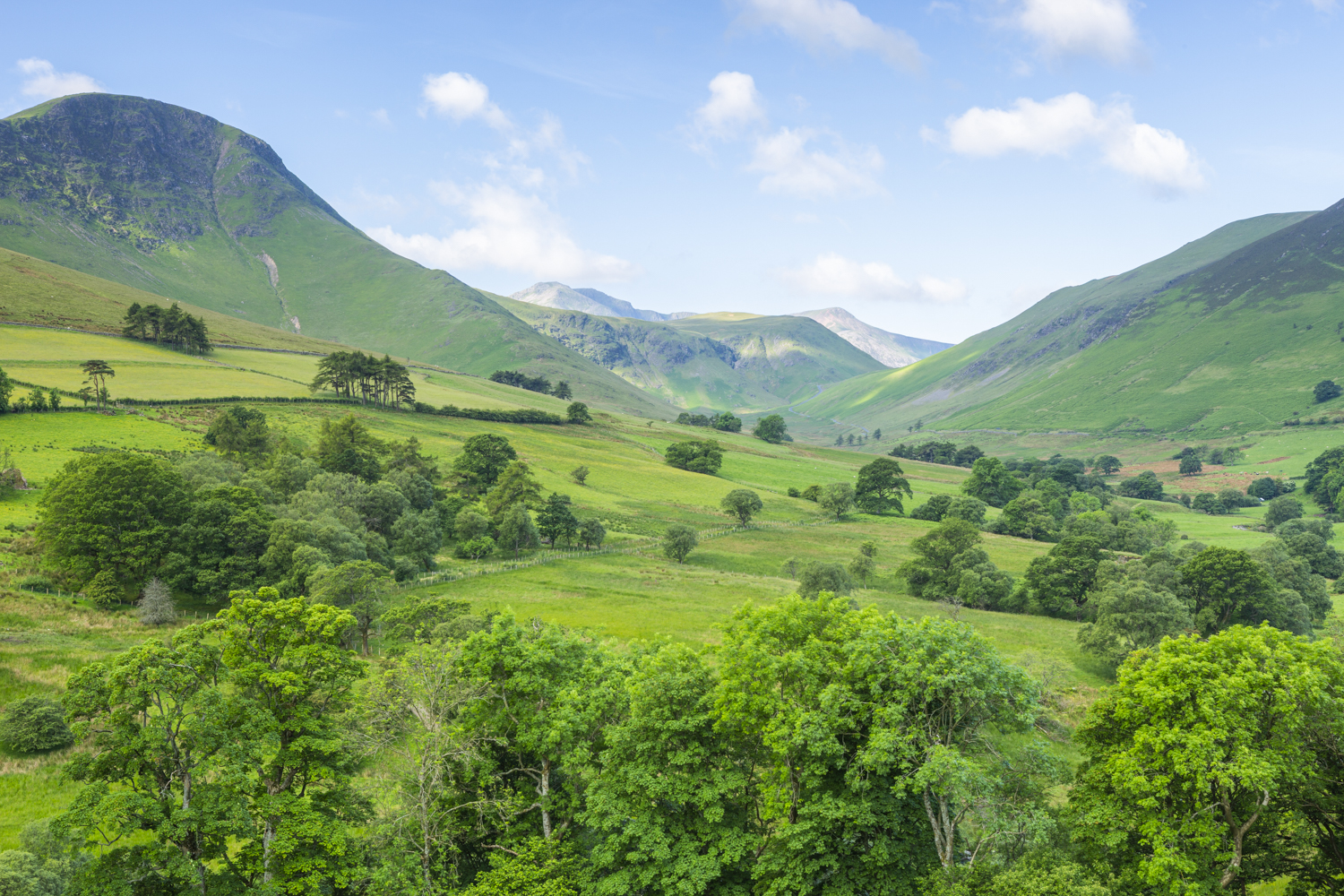 vibrant green trees and hills summer landscape photography