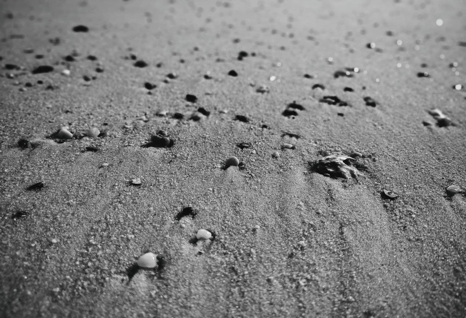 rocks on a beach