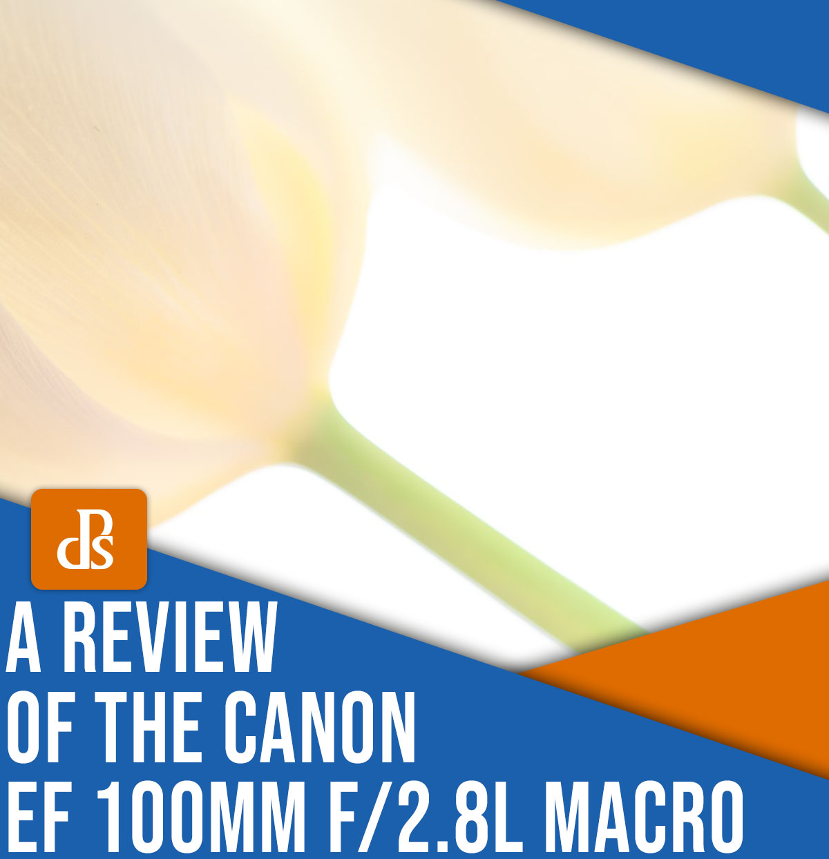 A review of the Canon EF 100mm f/2.8L Macro