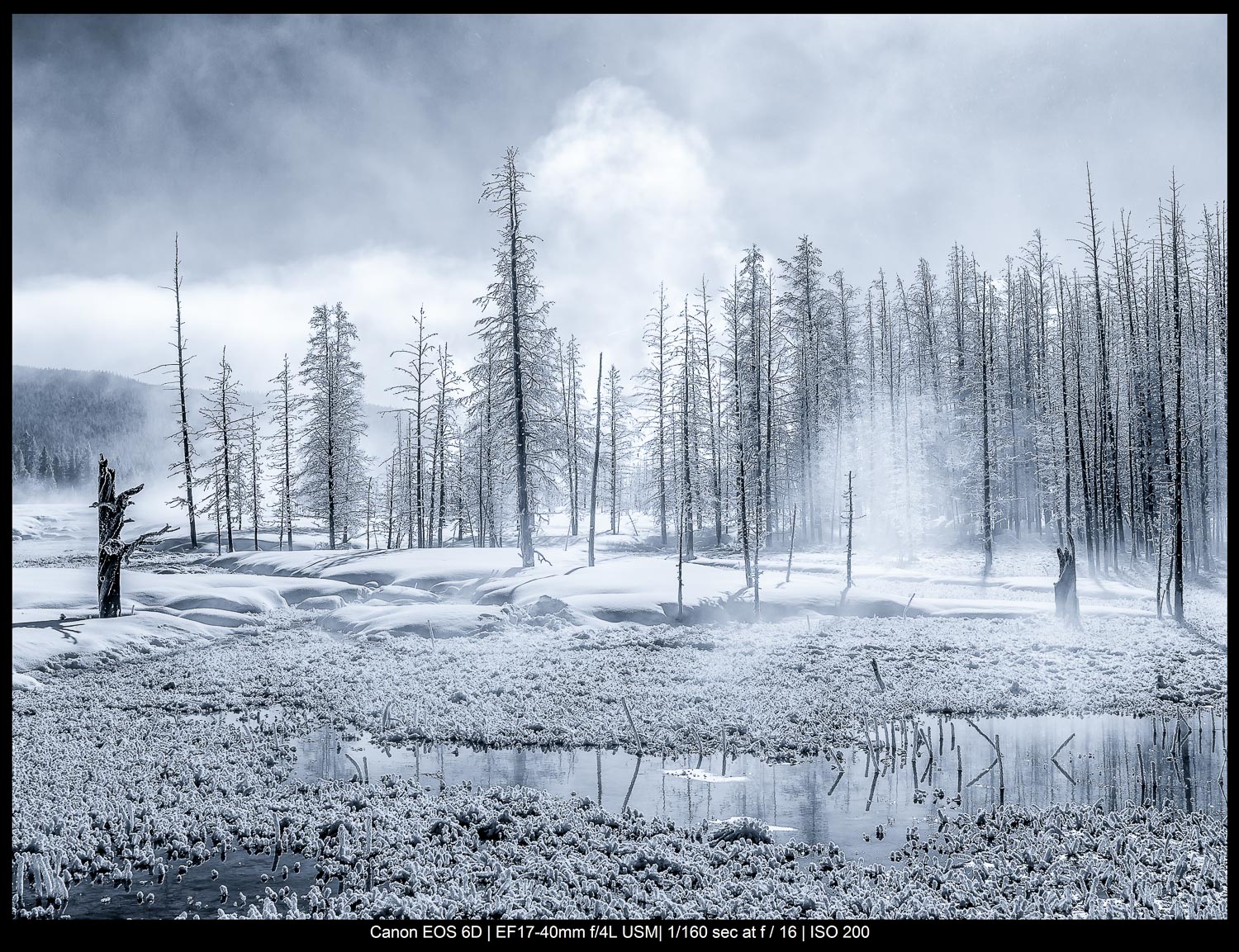 Fine Art Landscape Photography  - A frigid morning in Yellowstone National Park 