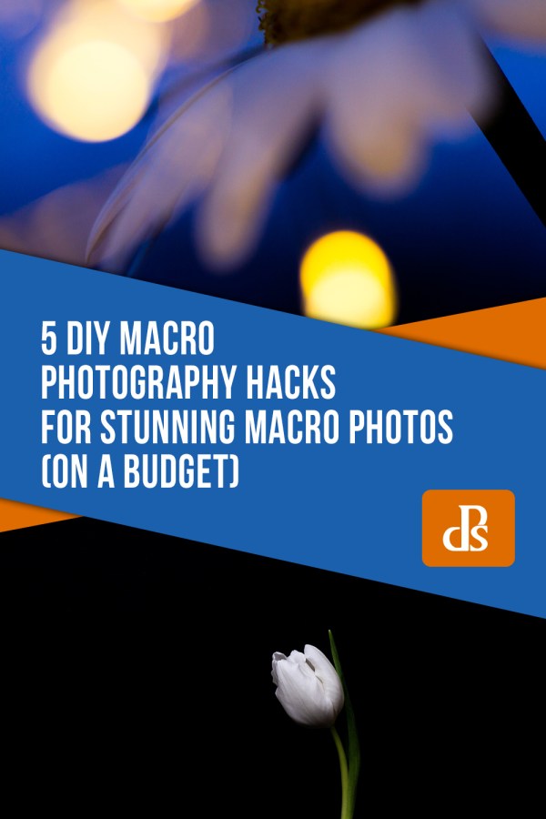 5 DIY Hacks for Stunning Macro Photos (on a Budget)