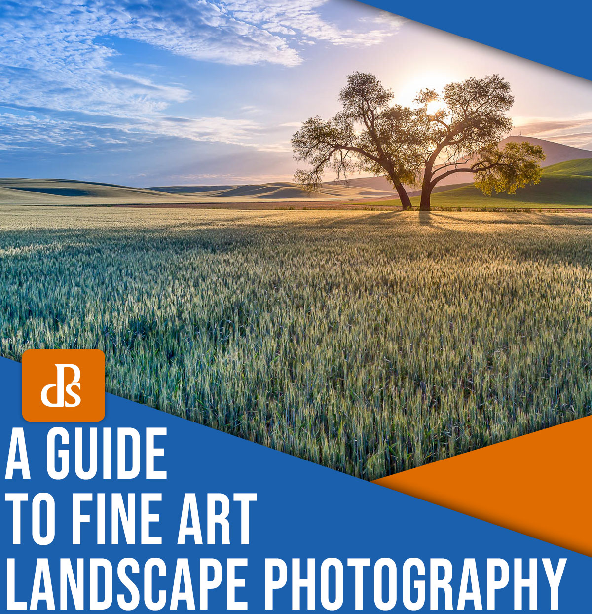 A guide to fine art landscape photography