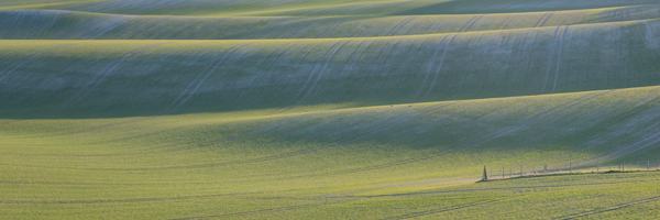 Chalkfields at sunrise presented in a 3:1 aspect ratio