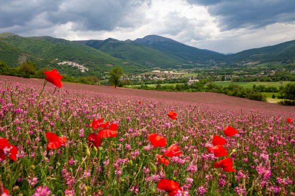 15 Summer Landscape Photography Tips (+ Examples)