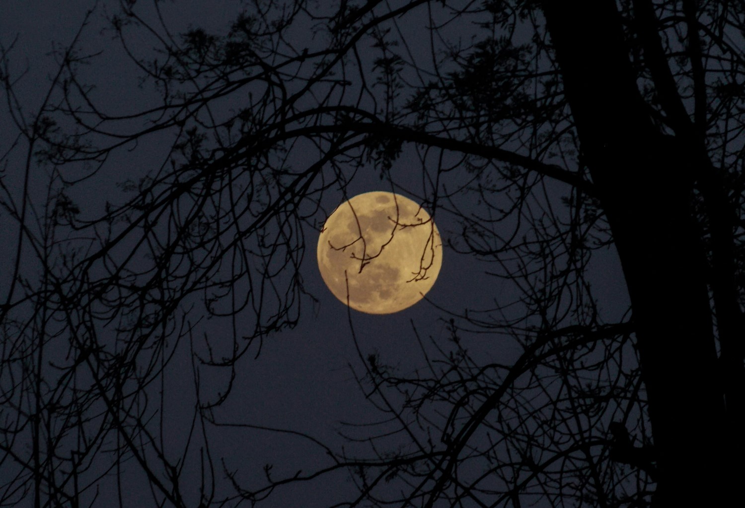 How to photograph the moon