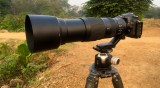 Nikon 200-500mm f/5.6 Review: The Most Versatile Wildlife Lens You Can Buy?