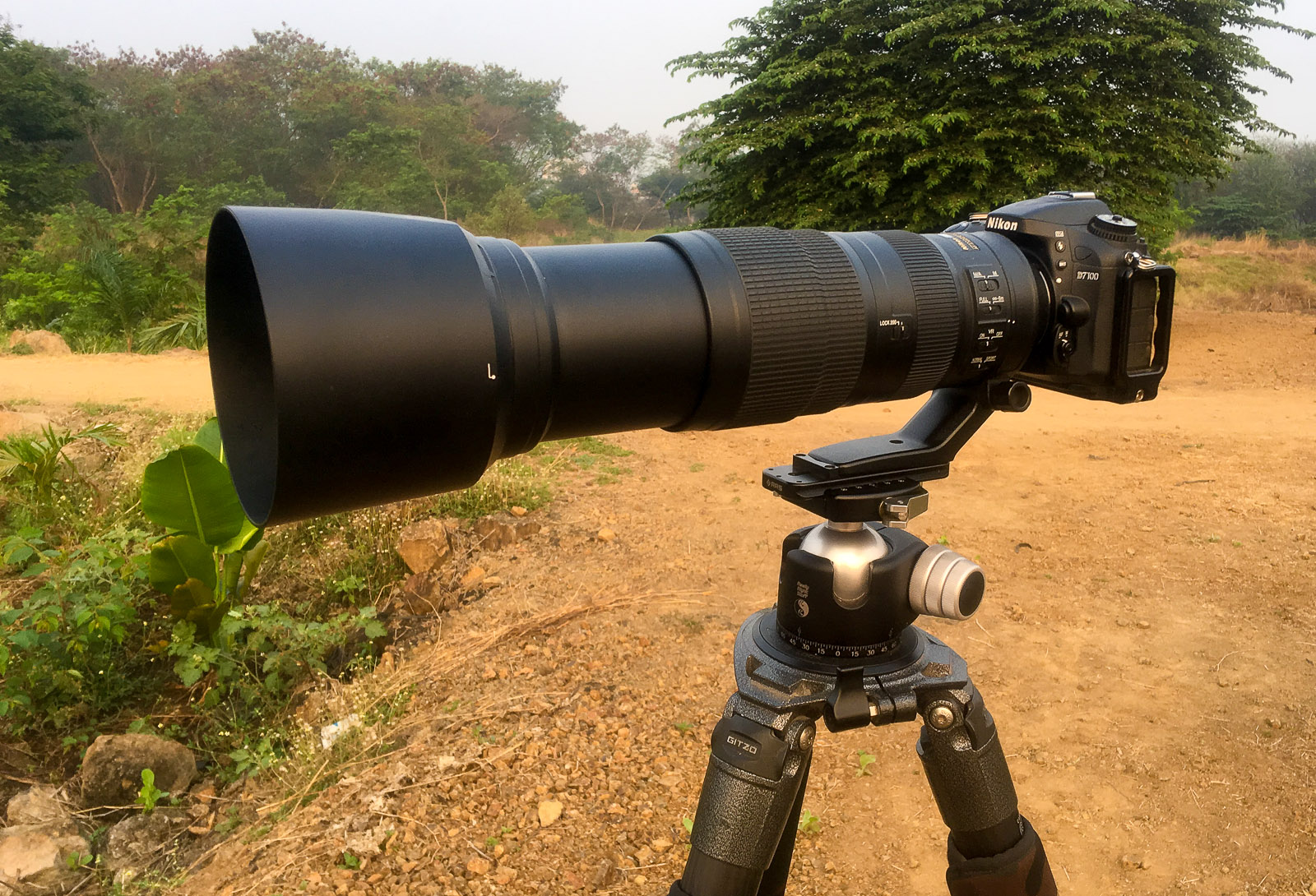 Nikon 200-500mm f/5.6 review