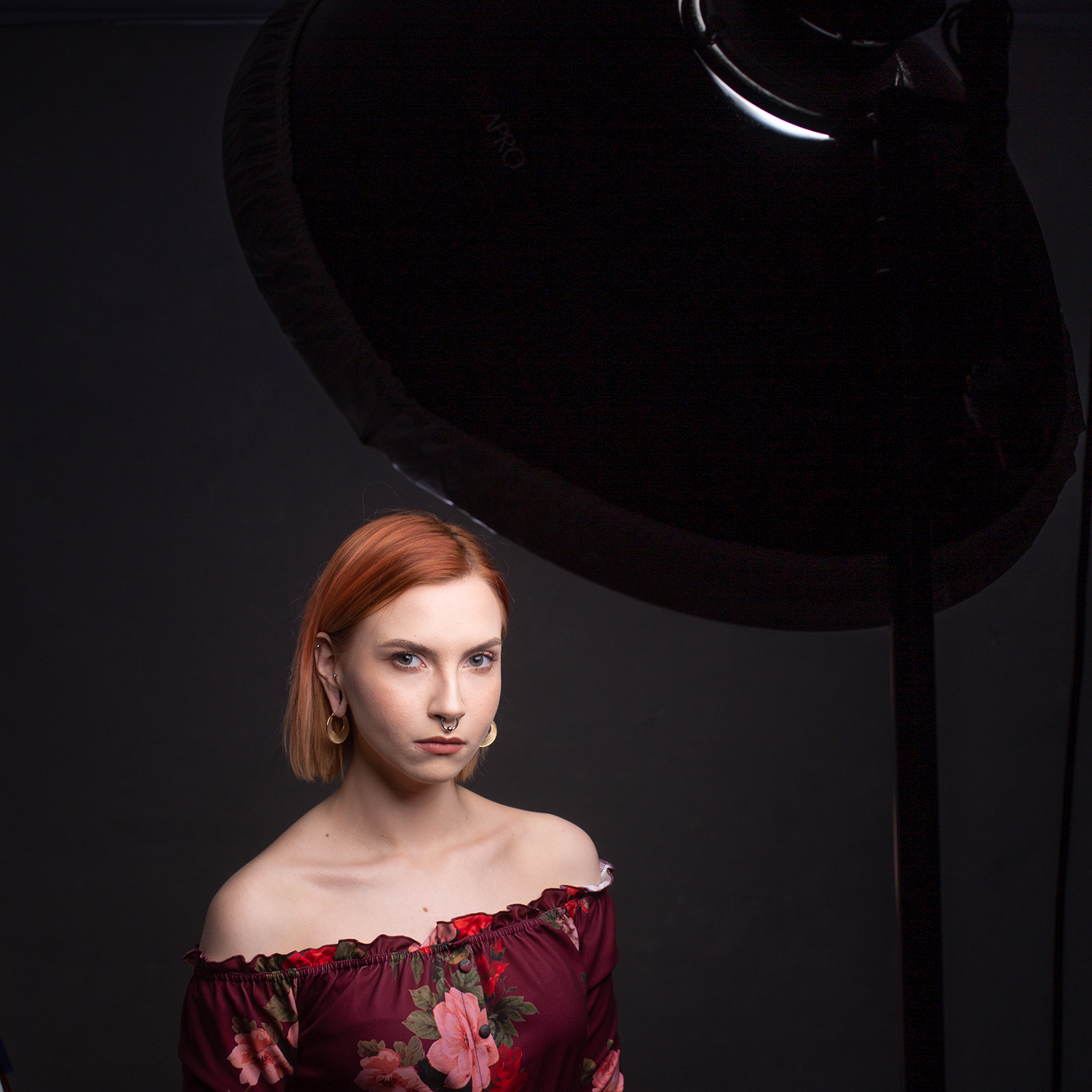 Choosing a beauty dish: what size is best for portraits?