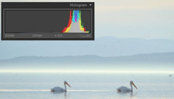 Histograms for Beginners